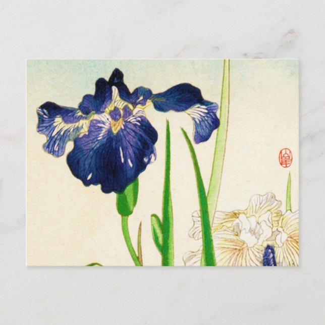 Blue Iris - Japanese watercolor print Postcard (Front)