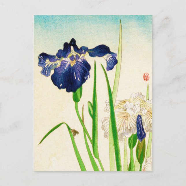 Blue Iris - Japanese watercolor print Postcard (Front)