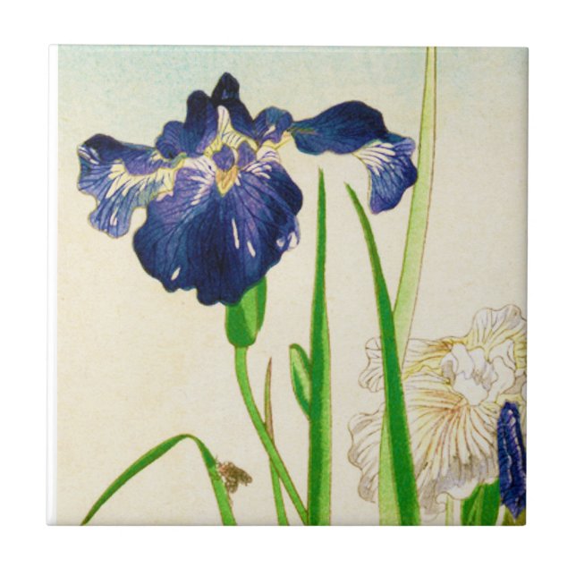 Blue Iris - Japanese watercolor print Tile (Front)