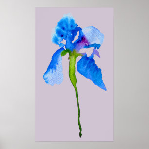 Blue Iris modern floral watercolor art Poster