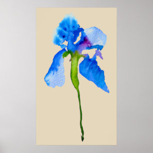 Blue Iris modern floral watercolor art Poster