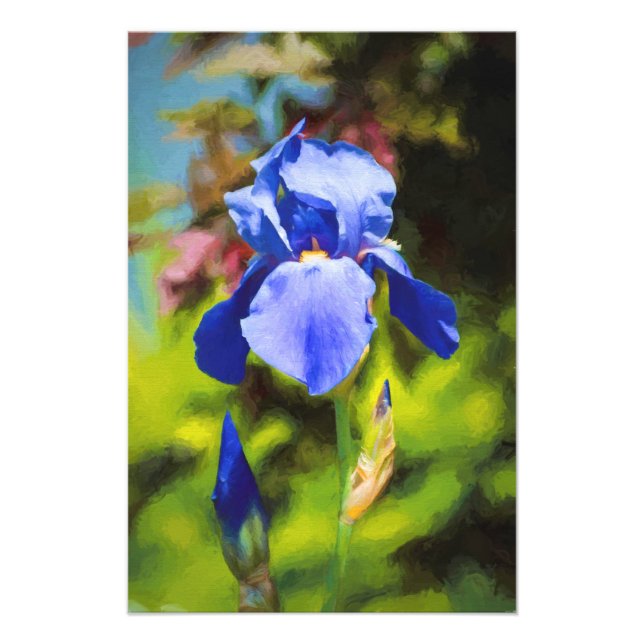 Blue Iris Photo Print (Front)