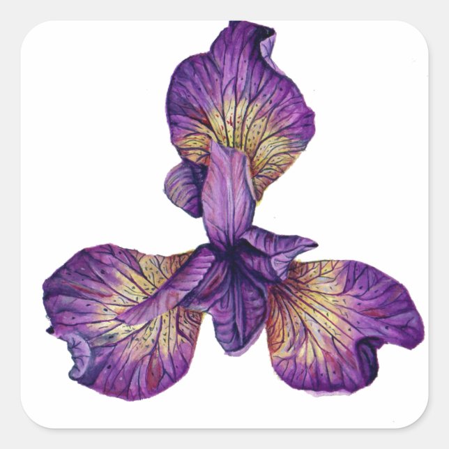 Blue Iris Siberica Flower Square Sticker (Front)
