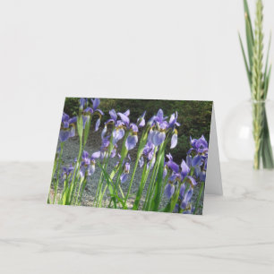 Blue Iris Thank You Card