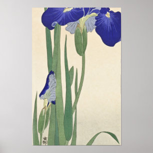Blue Irises (1900 - 1930) by Ohara Koson Poster
