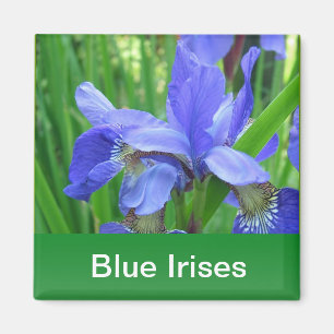 blue irises and green leaves magnet