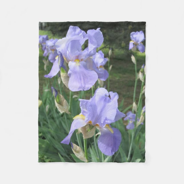 Blue Irises Blanket for Lovers of Flowers (Front)