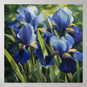 Blue Irises Flower Art Print Poster
