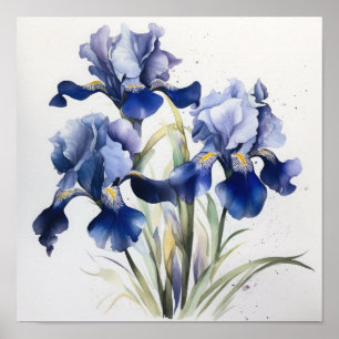 Blue Irises Flower Art Print Poster