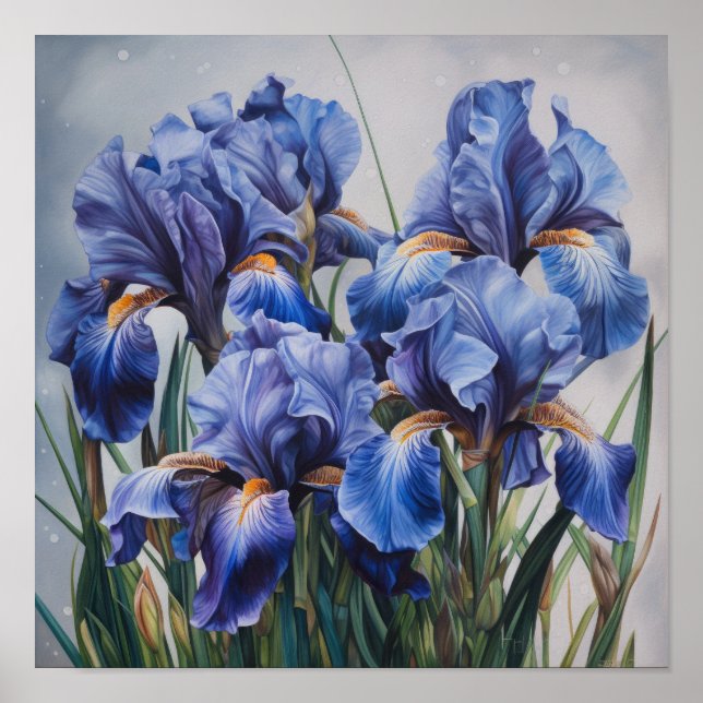 Blue Irises Flower Art Print Poster (Front)