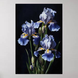 Blue Irises Flower Art Print Poster