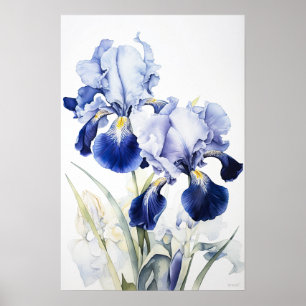 Blue Irises Flower Art Print Poster