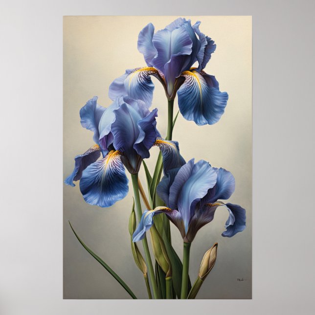 Blue Irises Flower Art Print Poster (Front)