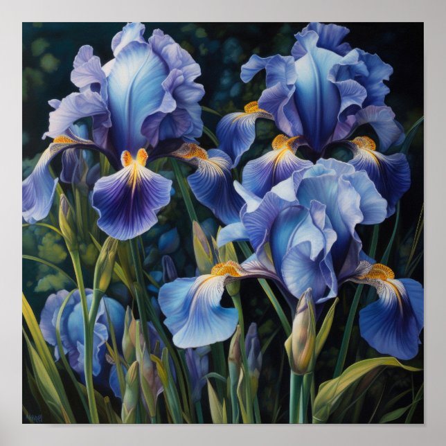 Blue Irises Flower Art Print Poster (Front)