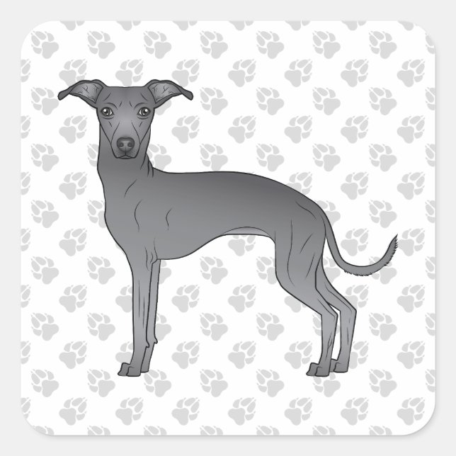 Blue Italian Greyhound Cute Cartoon Dog With Paws Square Sticker (Front)
