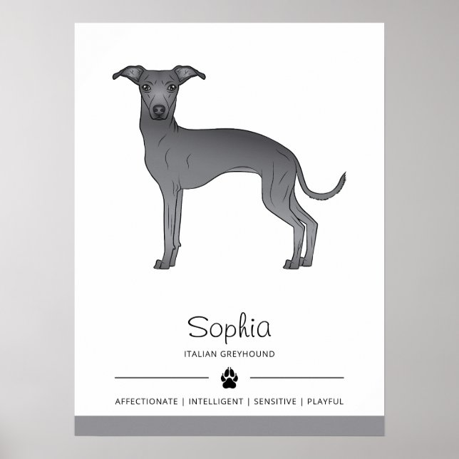 Blue Italian Greyhound Cute Dog With Custom Text Poster (Front)
