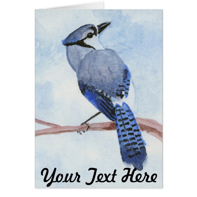 Blue Jay (Front)