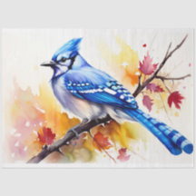 Blue Jay 1 Decoupage Paper