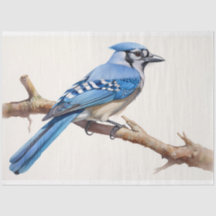 Blue Jay 3 Decoupage Paper