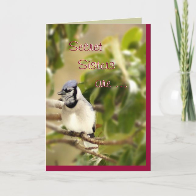 Blue Jay 6435 Secret Sister- customise Card (Front)