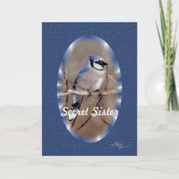 Blue Jay 8883- customise