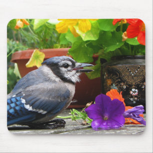 Blue Jay and Flowers Mouse Mat