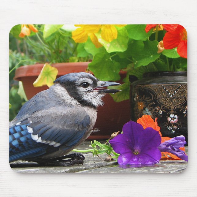 Blue Jay and Flowers Mouse Mat (Front)