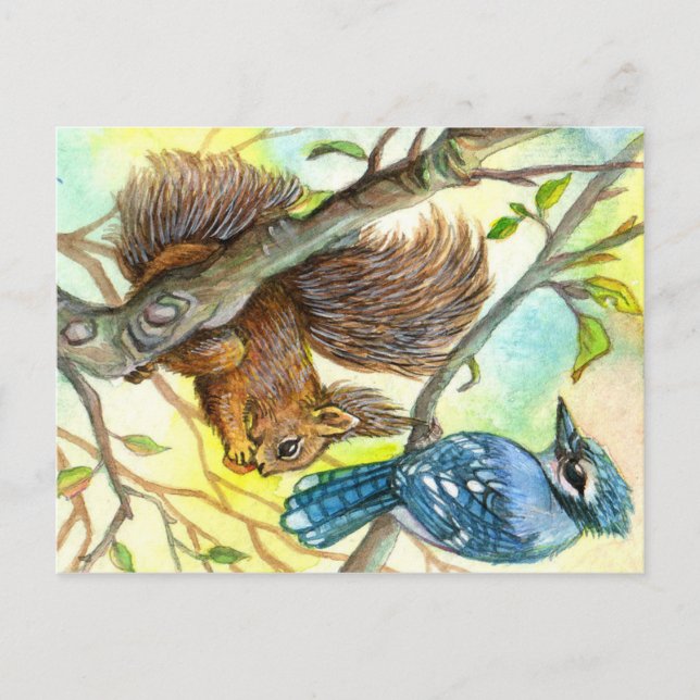 Blue Jay And Squirrel Postcard (Front)