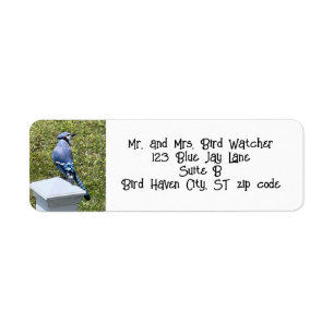 Blue Jay, Bird Address Labels