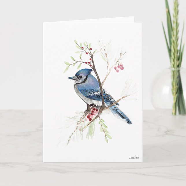 Blue Jay Bird Art Card (Front)