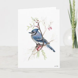 Blue Jay Bird Art Card