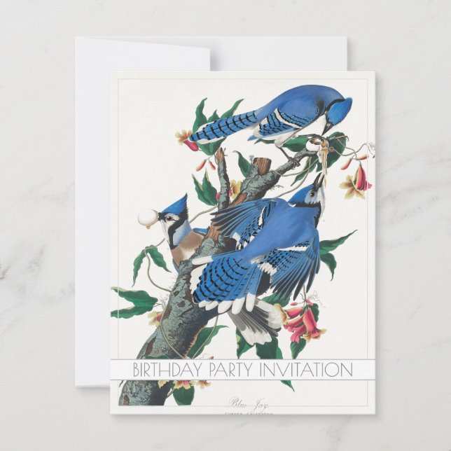 BLUE JAY BIRD BIRTHDAY PARTY INVITATION FLAT CARD (Front)