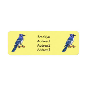 Blue jay bird cartoon illustration