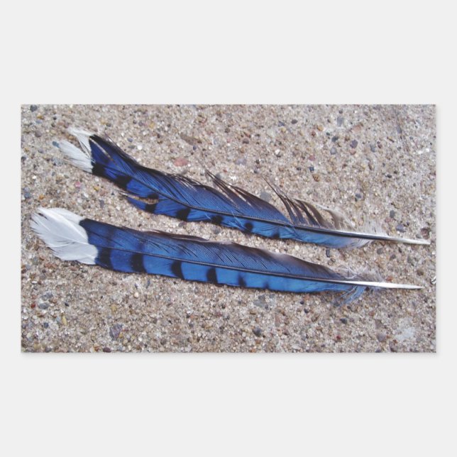 Blue Jay bird feathers Rectangular Sticker (Front)