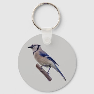 Blue Jay Bird Key Ring