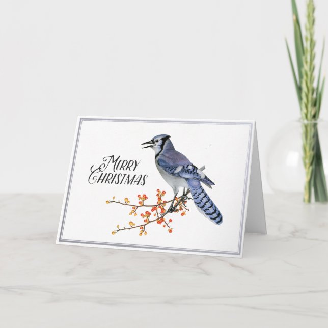 Blue Jay Bird Merry Christmas Berry Silver Nature  Holiday Card (Front)