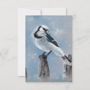 Blue jay bird note card