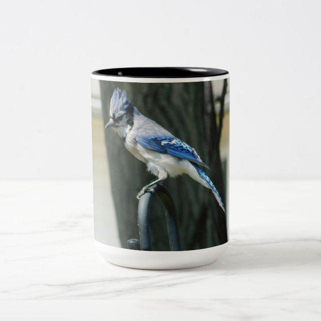 Blue Jay Bird Photography 15oz Coffee Mug (Center)