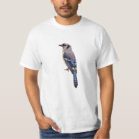 Blue Jay Bird