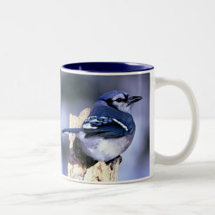 Blue Jay, Blue Jay Two-Tone Coffee Mug