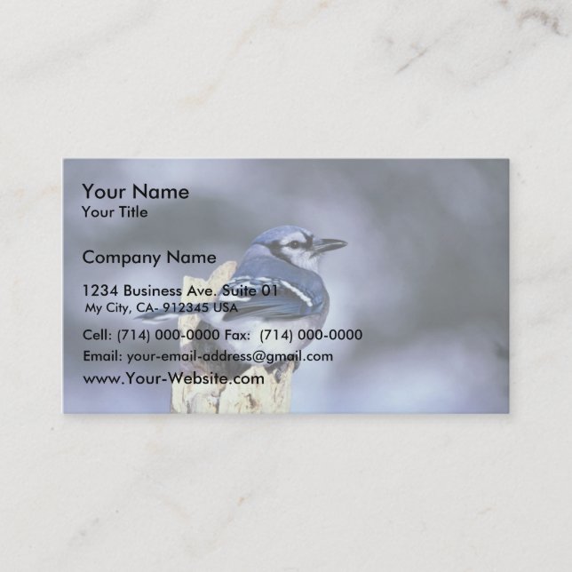 Blue jay business card (Front)