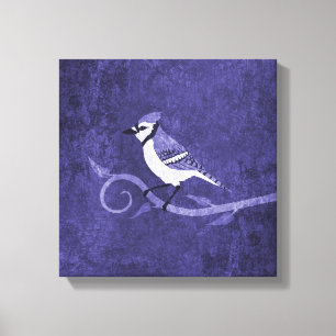 Blue Jay Canvas Print