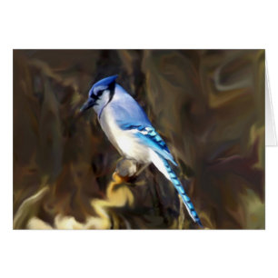 Blue Jay Cards