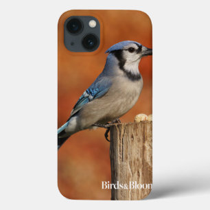 Blue Jay iPhone 13 Case