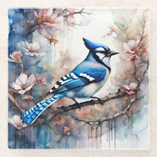Blue Jay Cherry Blossoms watercolor Glass Coaster