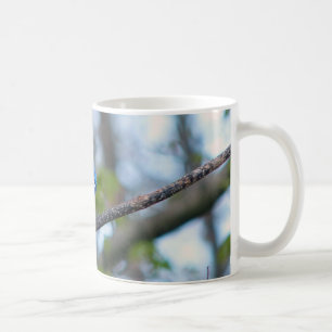 Blue Jay Coffee Mug