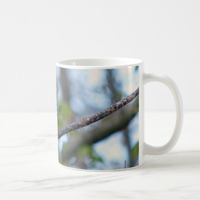 Blue Jay Coffee Mug (Right)