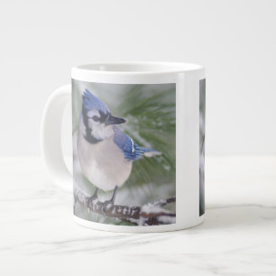 Blue Jay, Cyanocitta cristata Large Coffee Mug