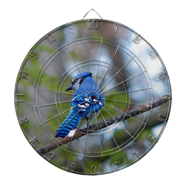 Blue Jay Dartboard (Front)