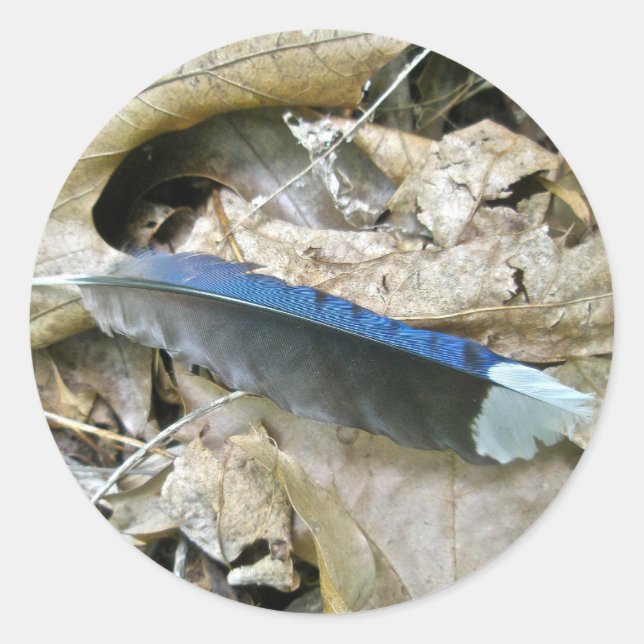 Blue Jay Feather Coordinating Items Classic Round Sticker (Front)
